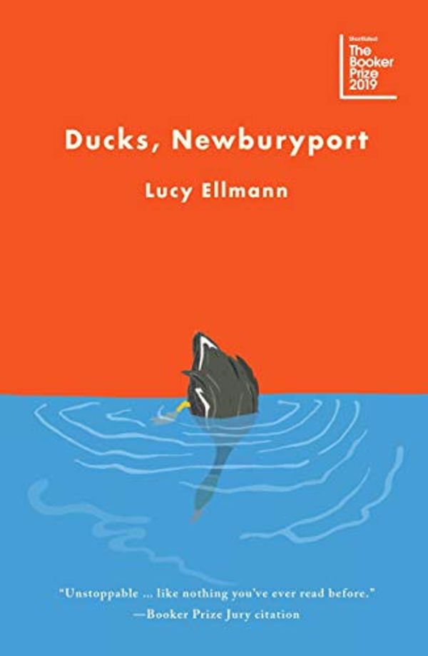 Cover Art for 9789389109313, Ducks, Newburyport by Lucy Ellmann