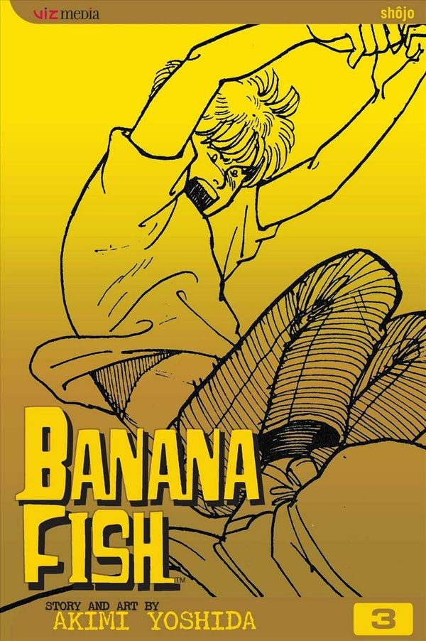 Cover Art for 9781591161066, Banana Fish: Volume 3 by Akimi Yoshida