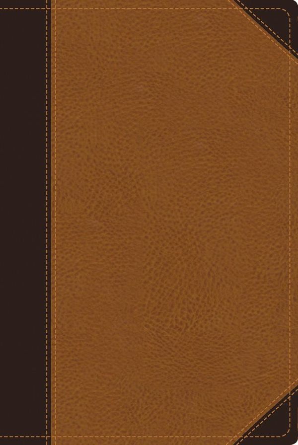 Cover Art for 9780310438632, NIV Zondervan Study Bible, Personal Size: Built on the Truth of Scripture and Centered on the Gospel Message by D A Carson