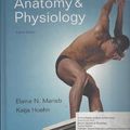 Cover Art for 9780131363526, Human Anatomy & Physiology by Elaine Nicpon Marieb