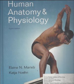 Cover Art for 9780131363526, Human Anatomy & Physiology by Elaine Nicpon Marieb