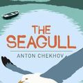 Cover Art for 9781838575793, The Seagull by Ann Cleeves