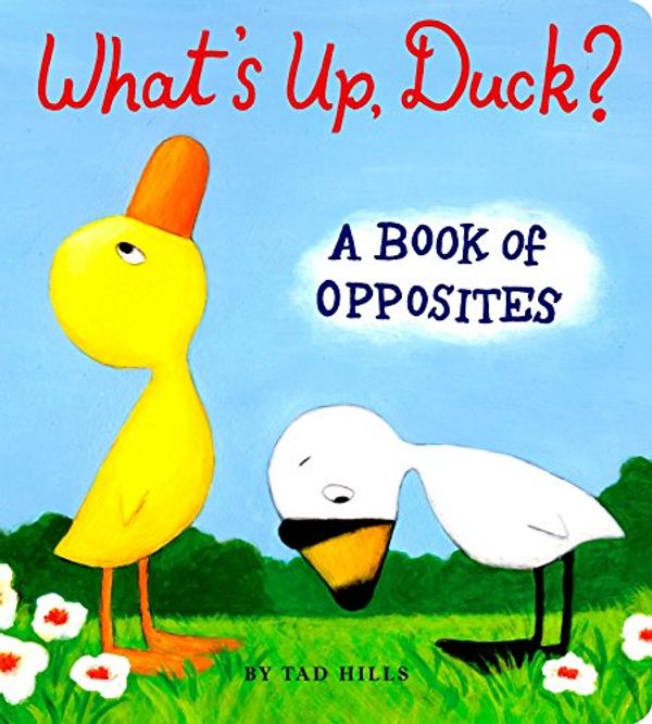 Cover Art for 9780375847387, What's Up, Duck? by Hills, Tad