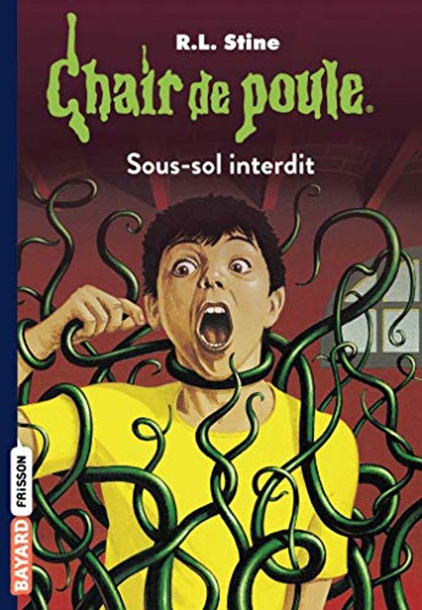 Cover Art for 9782747059404, Sous-sol interdit by R.l Stine