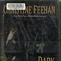 Cover Art for 9781587245312, Dark Challenge by Christine Feehan