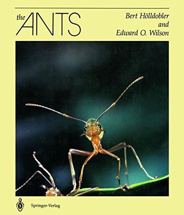 Cover Art for 9783540520924, The Ants by Hölldobler, Bert, Edward O. Wilson