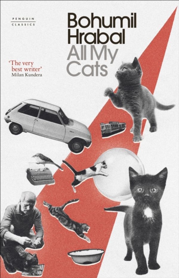 Cover Art for 9780241422182, All My Cats by Bohumil Hrabal
