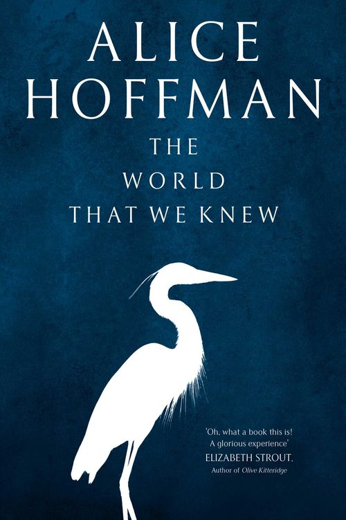 Cover Art for 9781471185830, The World That We Knew by Alice Hoffman