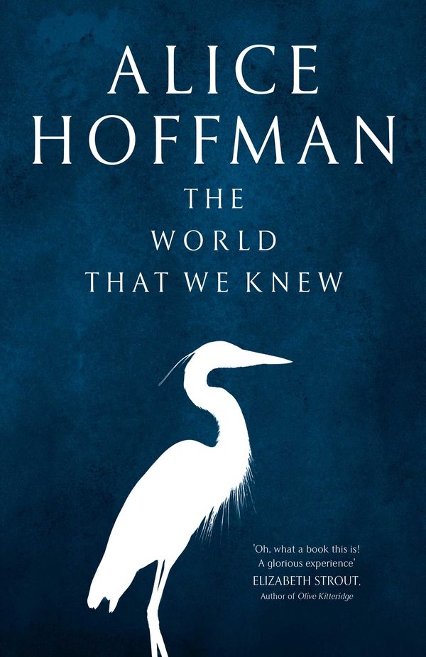 Cover Art for 9781471185830, The World That We Knew by Alice Hoffman