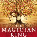 Cover Art for 9780099553465, The Magician King by Lev Grossman