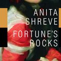 Cover Art for 9780316781015, Fortune's Rocks by Anita Shreve