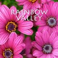 Cover Art for 9781500548223, Rainbow Valley by L. M. Montgomery