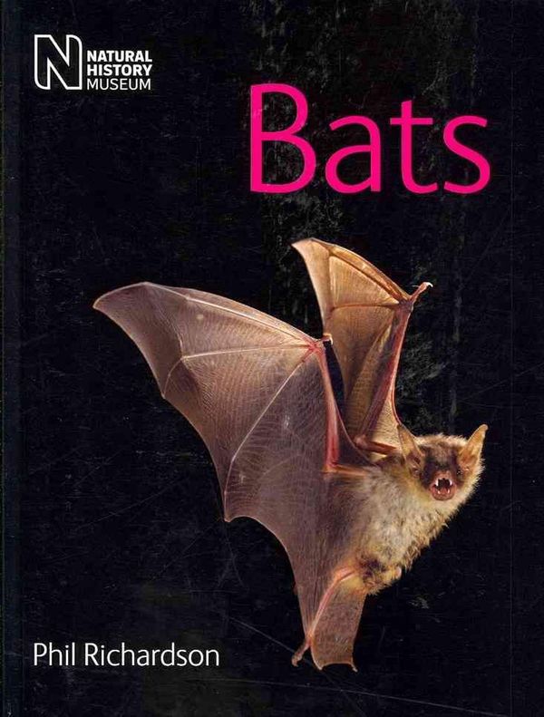 Cover Art for 9780565092757, Bats by Phil Richardson