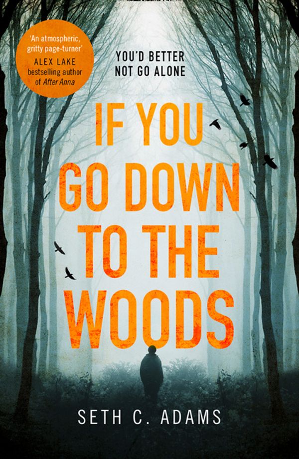 Cover Art for 9780008280246, If You Go Down to the Woods: The most powerful and emotional debut thriller of 2018! by Seth C. Adams