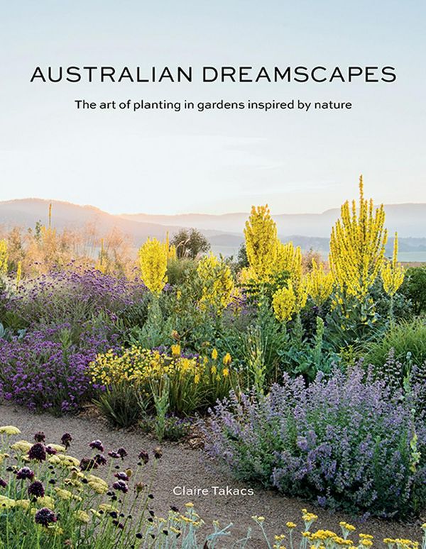 Cover Art for 9781743794708, Australian Dreamscapes: Movement, Light and Colour by Claire Takacs