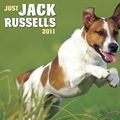 Cover Art for 9781607551515, Just Jack Russells Calendar by Willow Creek Press