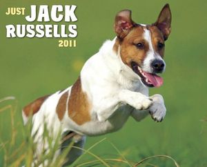 Cover Art for 9781607551515, Just Jack Russells Calendar by Willow Creek Press