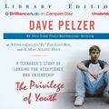 Cover Art for 9781593552312, The Privilege of Youth by Dave Pelzer