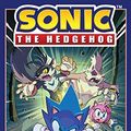 Cover Art for B07R1WTYQF, Sonic the Hedgehog Vol. 4: Infection (Sonic The Hedgehog (2018-)) by Ian Flynn