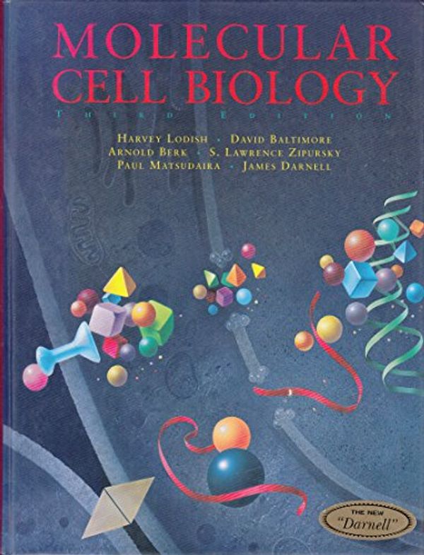 Cover Art for 9780716723806, Molecular Cell Biology by Harvey Lodish