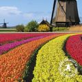Cover Art for 9781789194098, The Rough Guide to the Netherlands (Rough Guides) by Rough Guides
