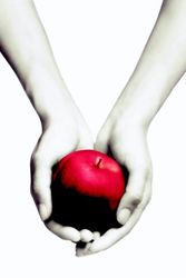 Cover Art for 9789022559888, Twilight: Een levensgevaarlijke liefde by Stephenie Meyer