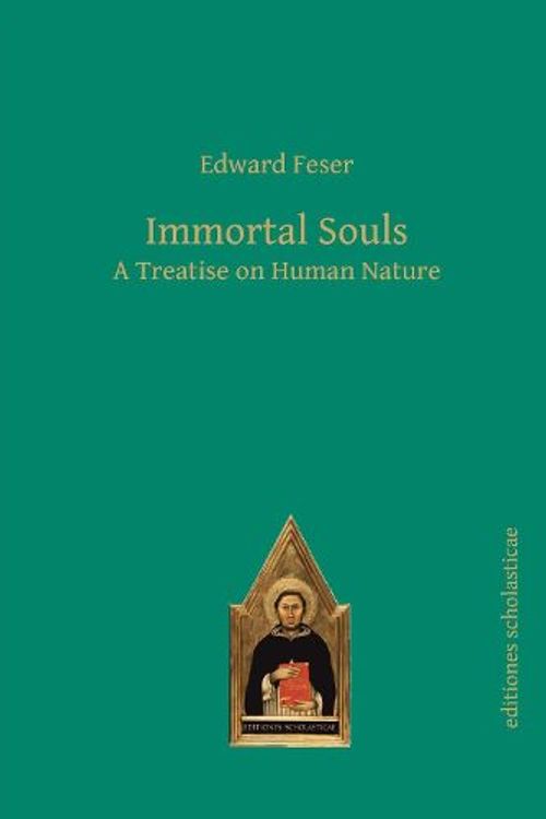 Cover Art for 9783868386059, Immortal Souls by Edward Feser