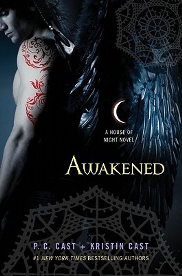 Cover Art for 9780312650247, Awakened by P. C. Cast