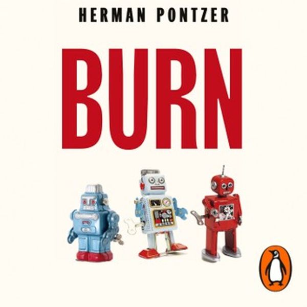 Cover Art for 9780241513507, Burn by Herman Pontzer, P.J. Ochlan