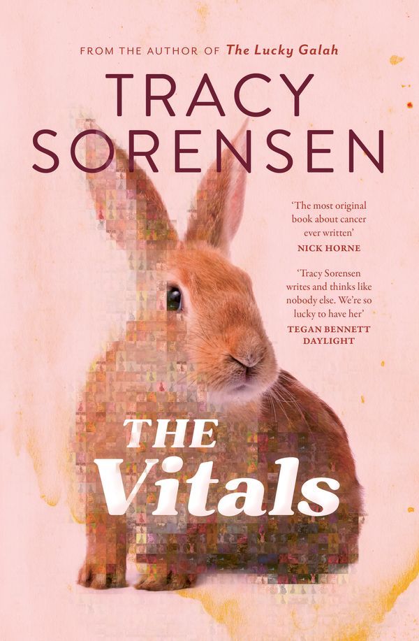 Cover Art for 9781761261626, The Vitals by Tracy Sorensen