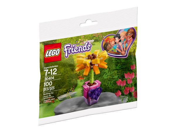 Cover Art for 5702016123395, Friendship Flower Set 30404 by Lego