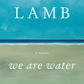 Cover Art for 9781460701157, We Are Water by Wally Lamb