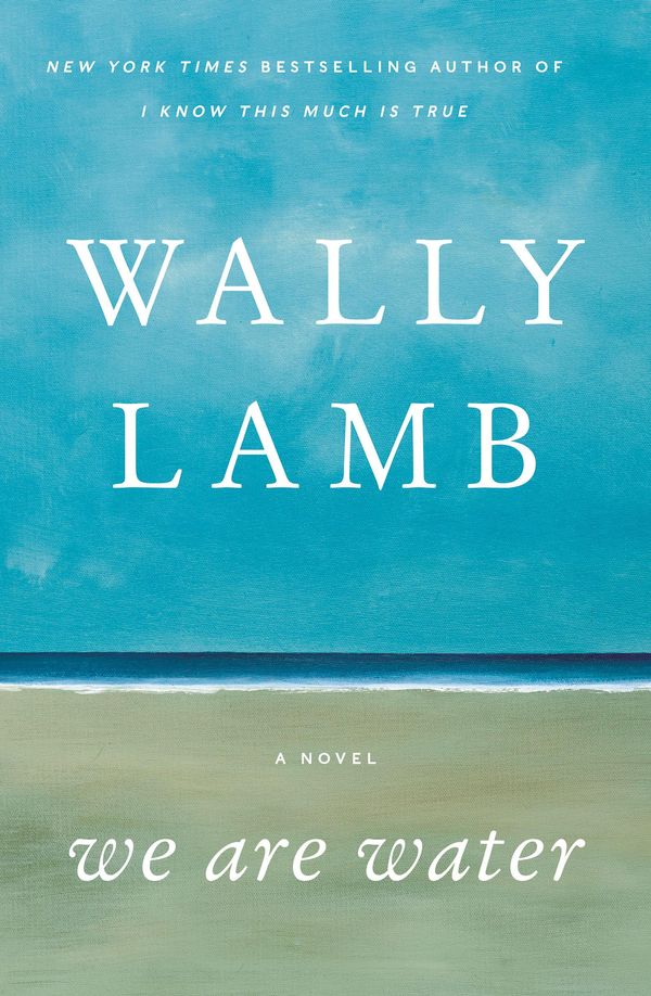 Cover Art for 9781460701157, We Are Water by Wally Lamb