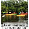 Cover Art for 9781523875160, Lake Istokpoga Paddleboarding: A Guide To Flat Water Stand Up Paddling by Vie Binga