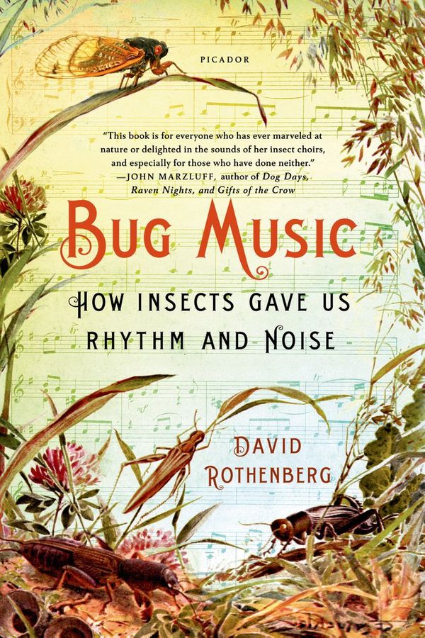Cover Art for 9781250045058, Bug Music: How Insects Gave Us Rhythm and Noise by David Rothenberg