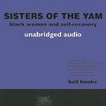 Cover Art for 9780896087897, Sisters of the Yam (audio edition): Black Women and Self-Recovery by bell hooks
