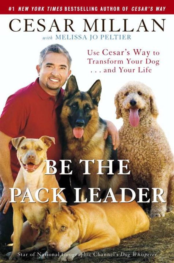 Cover Art for 9780307405555, Be the Pack Leader by Cesar Millan, Melissa Jo Peltier
