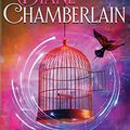 Cover Art for 9780988205789, The Escape Artist by Diane Chamberlain