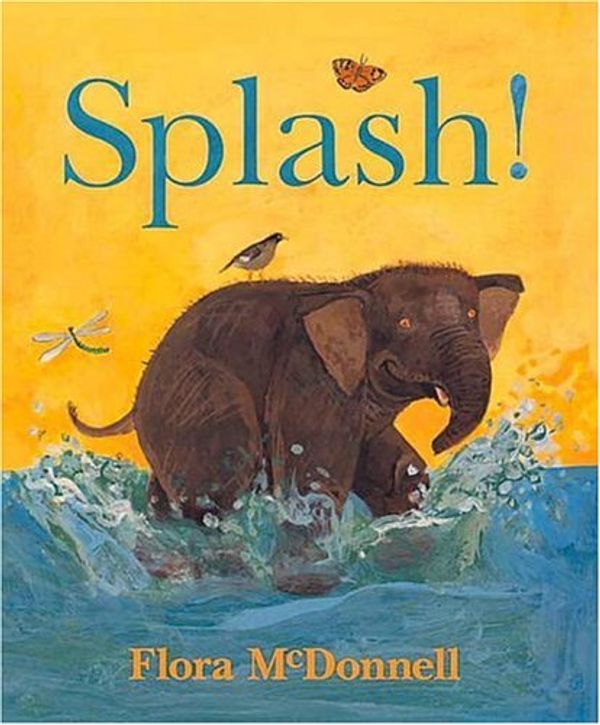 Cover Art for 9780763604813, Splash! by Flora McDonnell