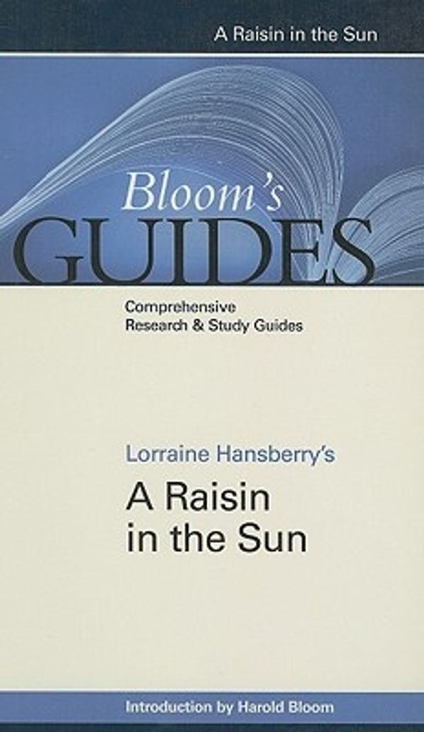 Cover Art for 9781604132021, A Raisin in the Sun by Lorraine Hansberry