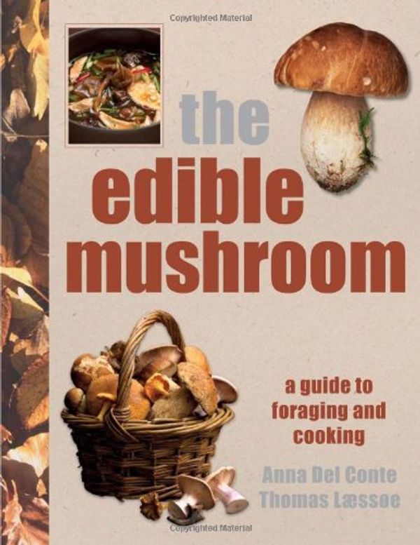 Cover Art for 9780756638672, The Edible Mushroom Book by Del Conte, Anna, Thomas Laessoe