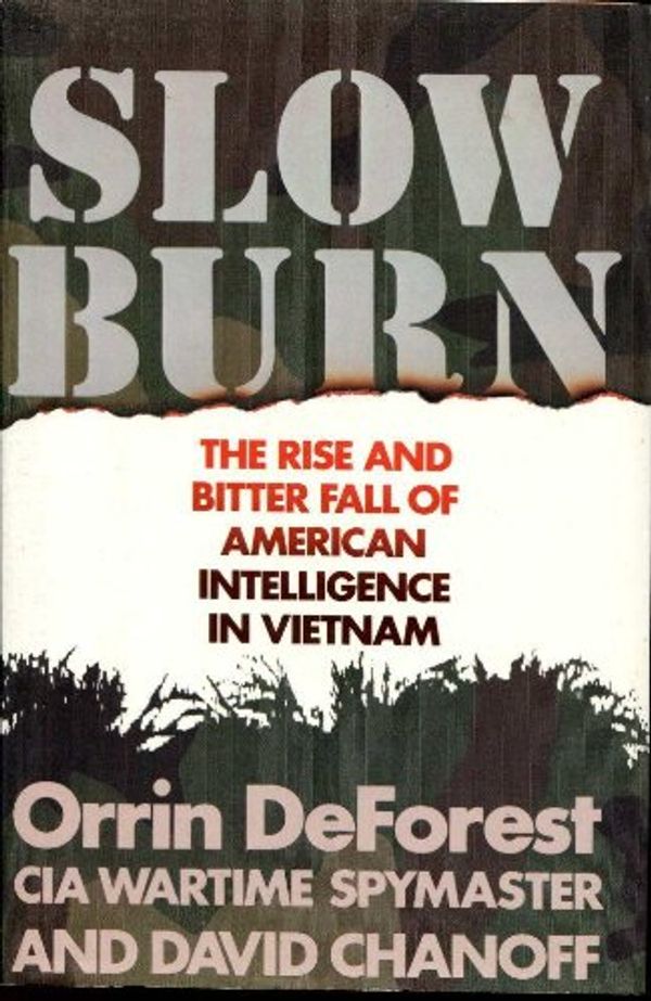 Cover Art for 9780671692582, Slow Burn: The Rise and Bitter Fall of American Intelligence in Vietnam by Orrin Deforest, David Chanoff