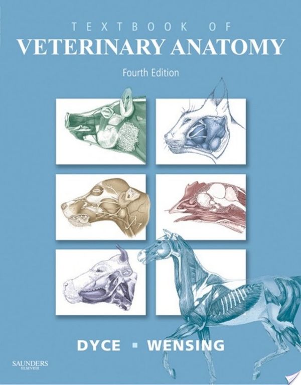 Cover Art for 9781416066071, Textbook of Veterinary Anatomy by Dyce DVM & S MRCVS, Keith M., BSC, Sack DVM Dr. med. vet, Wolfgang O., Ph.D., Wensing DVM PhD, C. J. G.