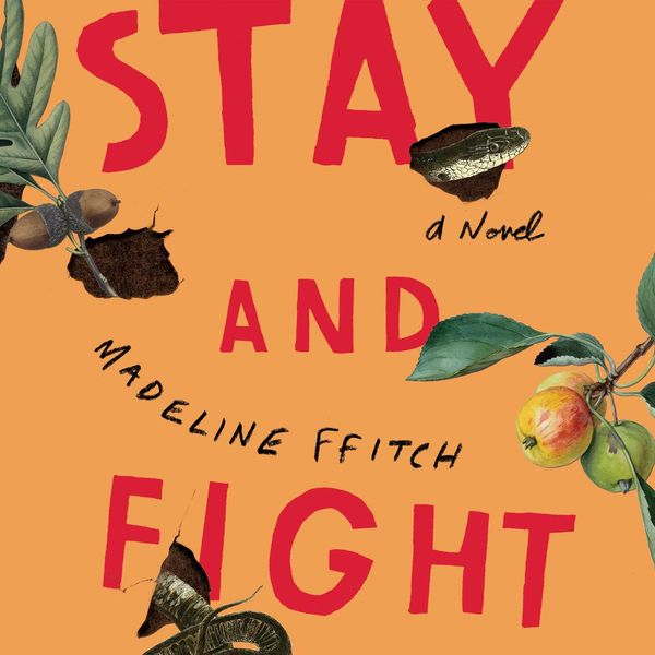 Cover Art for 9781250245663, Stay and Fight by Madeline Ffitch