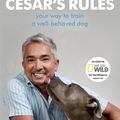 Cover Art for 9781848949645, Cesar's Rules by Cesar Millan
