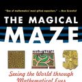 Cover Art for 9780471350651, The Maze P by Ian Stewart