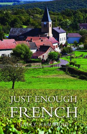 Cover Art for 9781742579689, Just Enough French by Sally Hammond