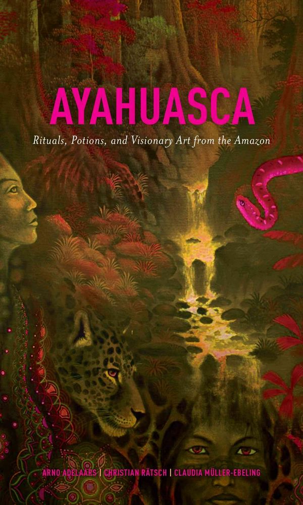 Cover Art for 9781611250510, AyahuascaRituals, Potions and Visionary Art from the Amazon by Arno Adelaars