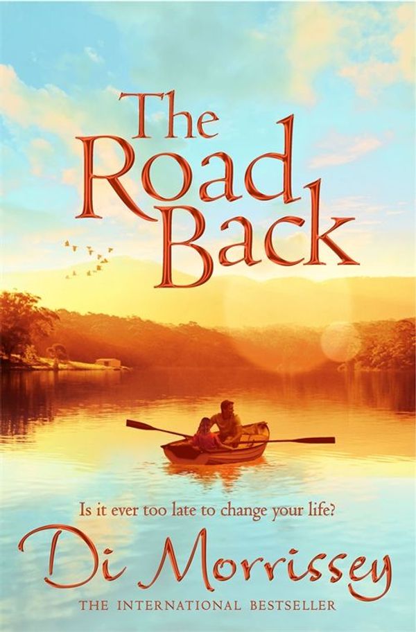 Cover Art for 9781447283256, The Road Back by Di Morrissey