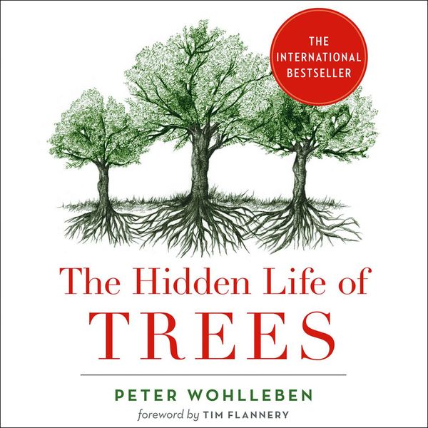 Cover Art for 9780008218348, The Hidden Life of Trees: What They Feel, How They Communicate by Peter Wohlleben